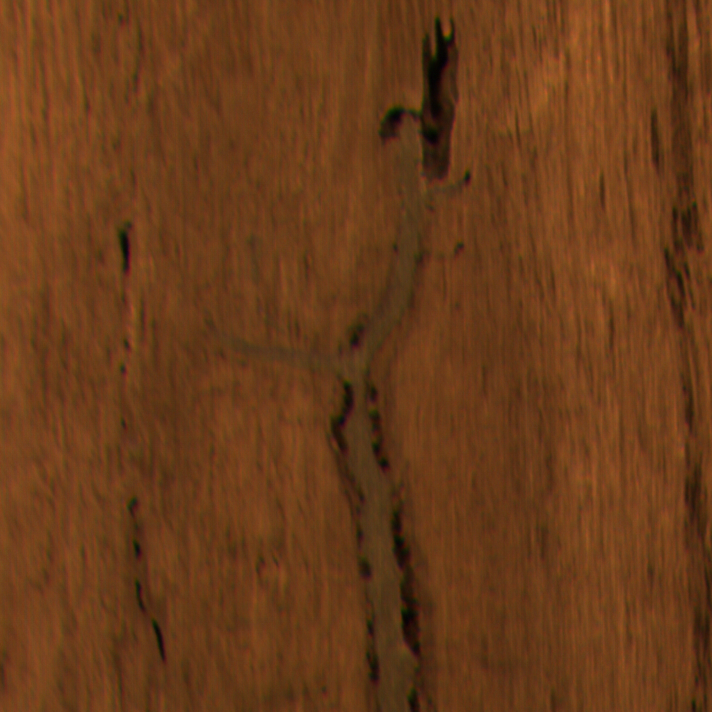 crack image of natural oak dataset
