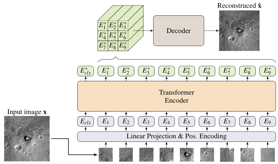 AnoViT architecture diagram