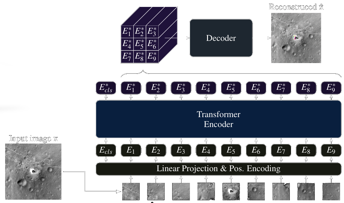 AnoViT architecture diagram